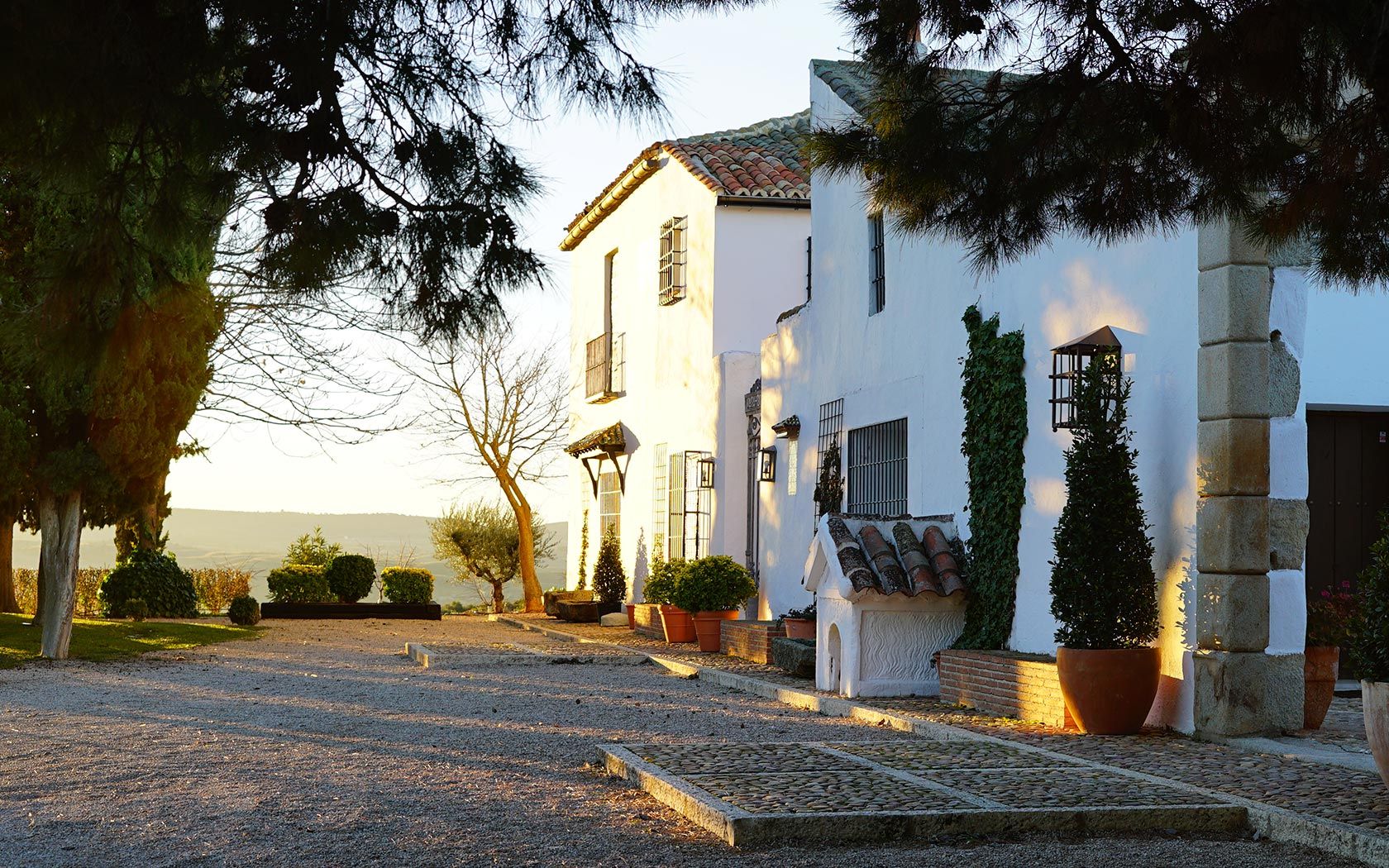 Cacerías en Casasola del Monte </br> (Madrid)