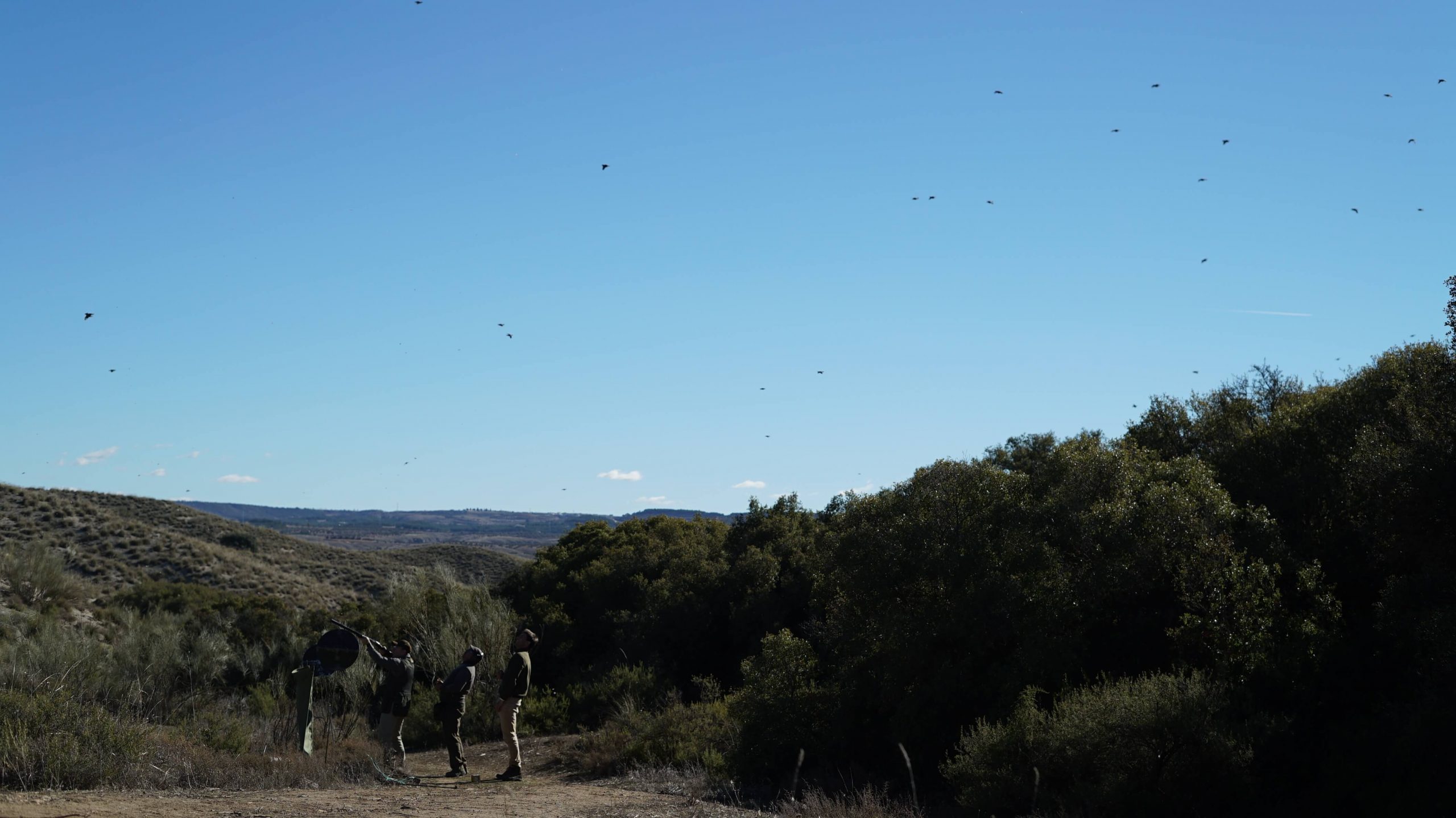 Cacerías en Casasola del Monte 3