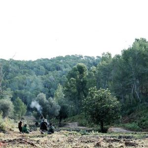 las-barracas-mallorca1